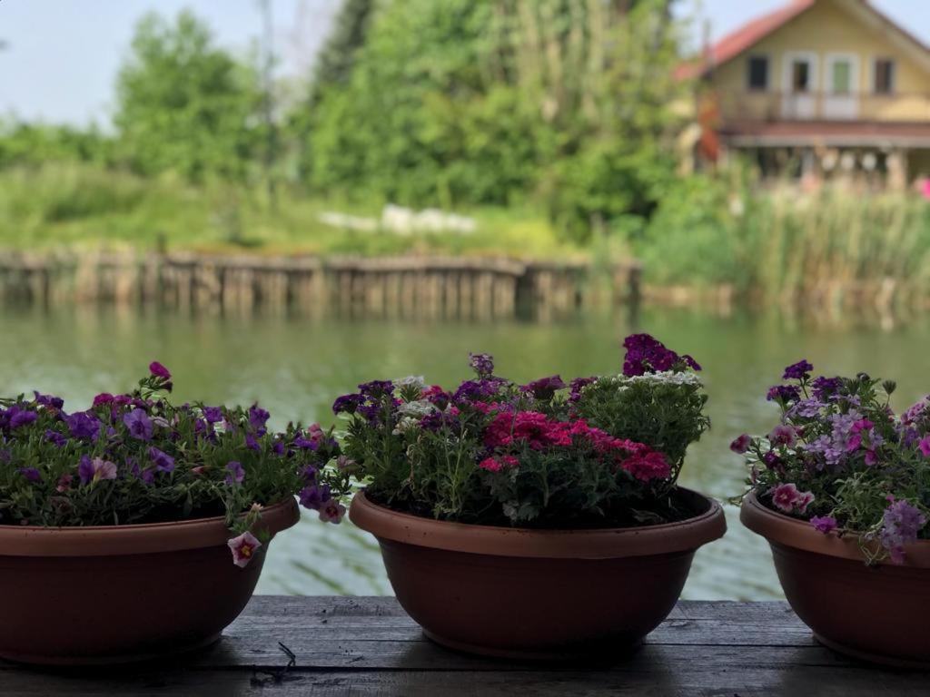 Agva Sweet Home River Hotel 외부 사진